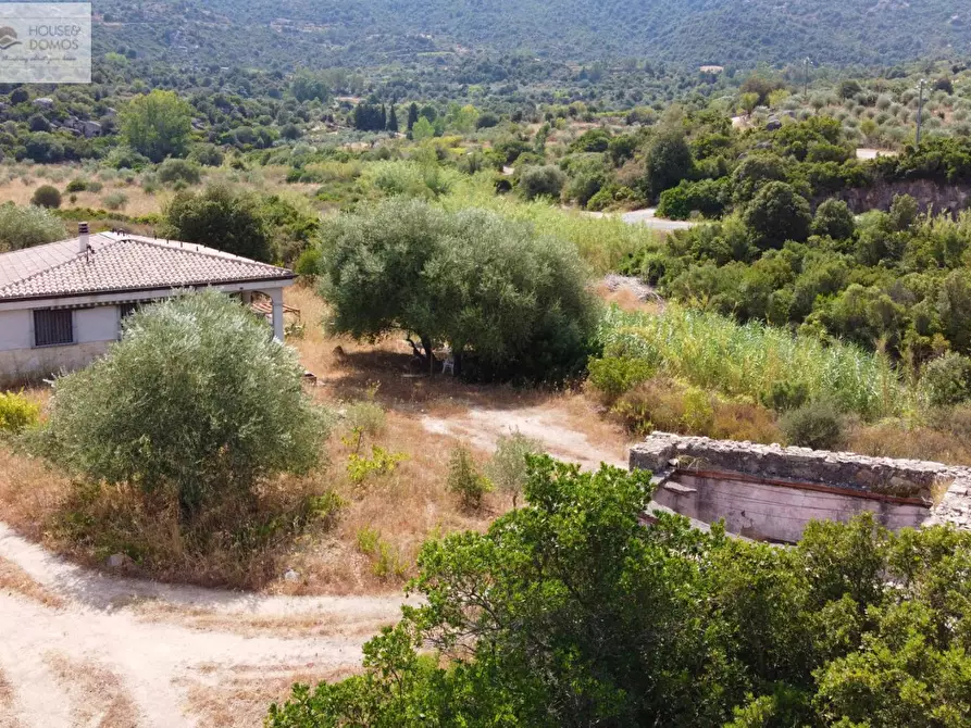 Immagine 35 di Casa indipendente in vendita  a Dorgali