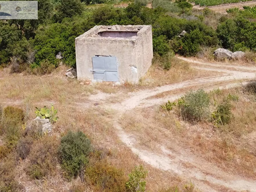 Immagine 36 di Casa indipendente in vendita  a Dorgali