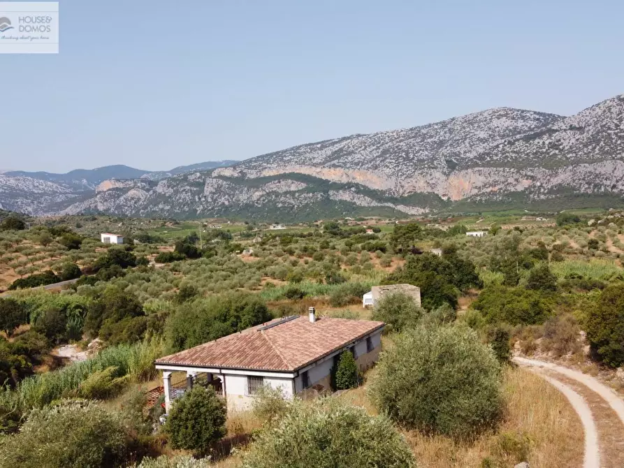 Immagine 41 di Casa indipendente in vendita  a Dorgali