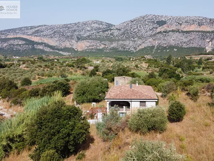 Immagine 42 di Casa indipendente in vendita  a Dorgali