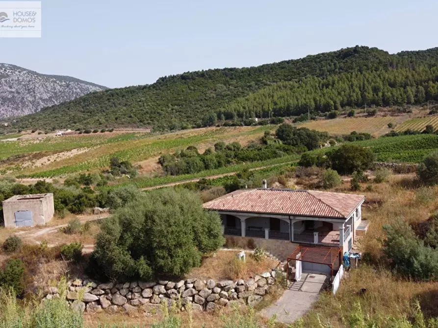 Immagine 2 di Casa indipendente in vendita  a Dorgali