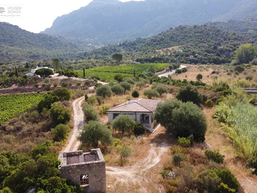 Immagine 44 di Casa indipendente in vendita  a Dorgali