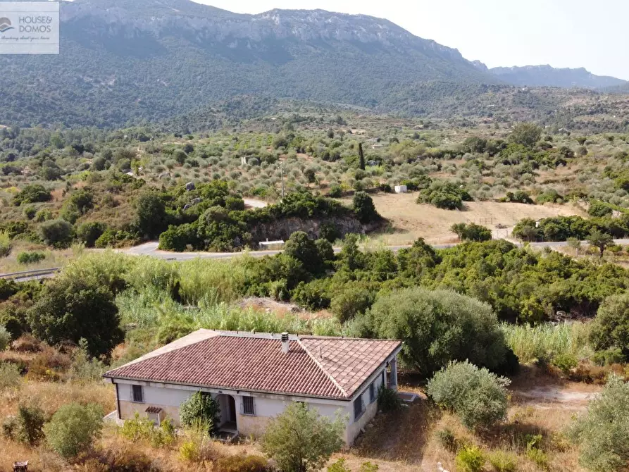 Immagine 45 di Casa indipendente in vendita  a Dorgali