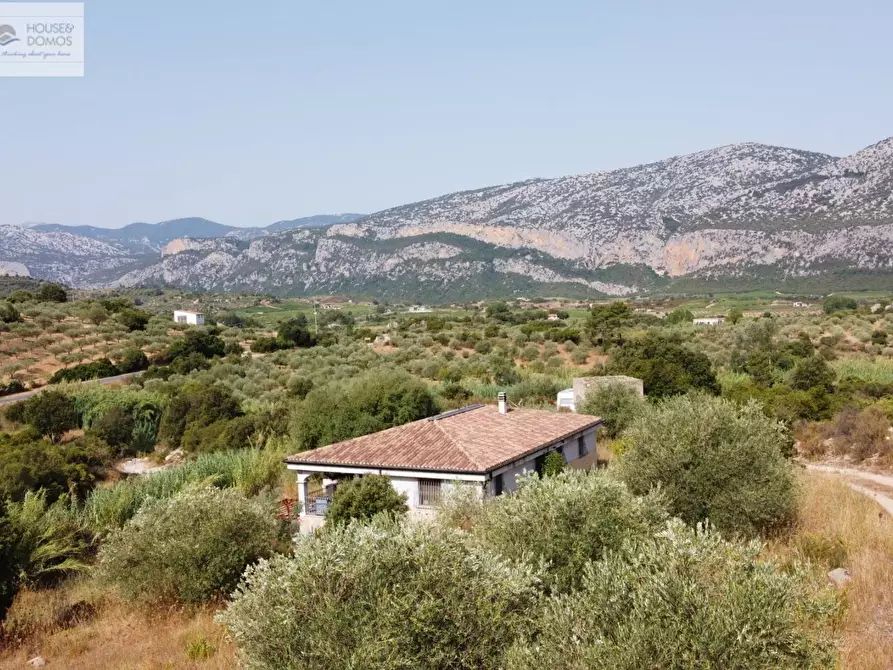 Immagine 1 di Casa indipendente in vendita  a Dorgali