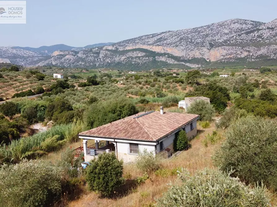 Immagine 46 di Casa indipendente in vendita  a Dorgali