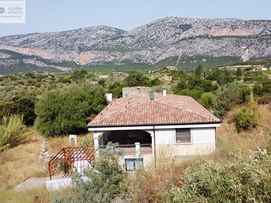 Immagine 47 di Casa indipendente in vendita  a Dorgali