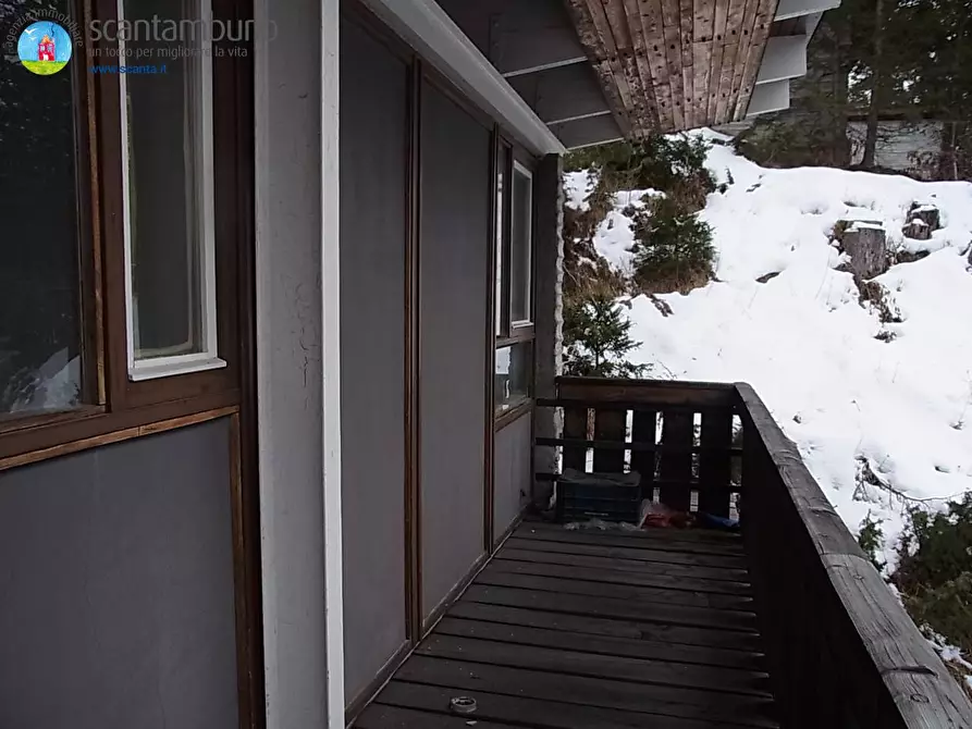 Immagine 16 di Casa indipendente in vendita  a Borca Di Cadore