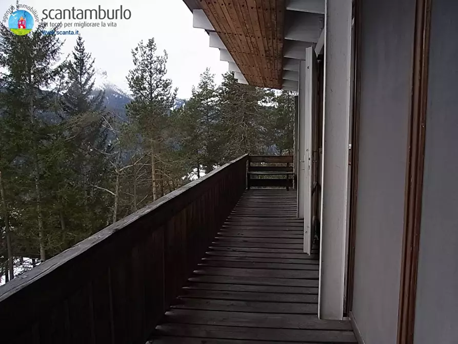 Immagine 17 di Casa indipendente in vendita  a Borca Di Cadore