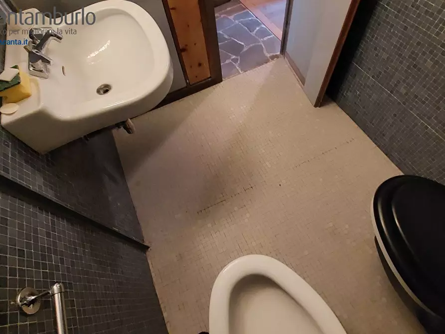 Immagine 4 di Casa indipendente in vendita  a Borca Di Cadore