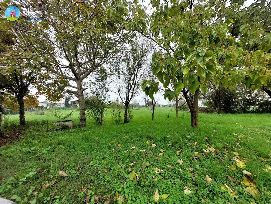 Immagine 7 di Casa indipendente in vendita  a Ponzano Veneto