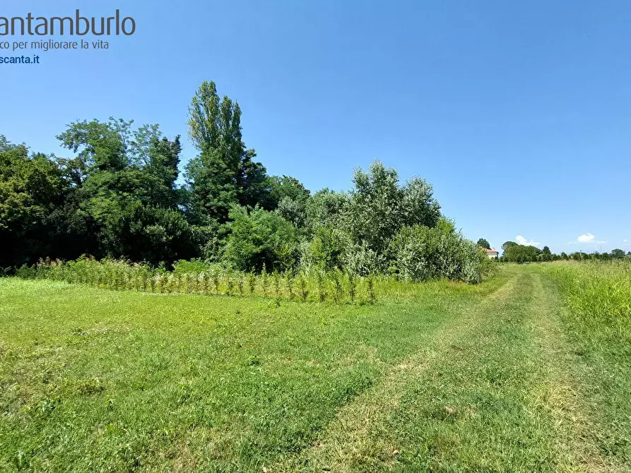 Immagine 1 di Terreno residenziale in vendita  a Preganziol