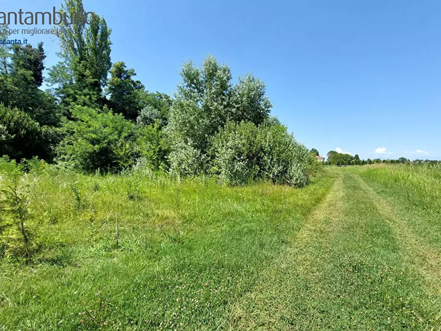 Immagine 2 di Terreno residenziale in vendita  a Preganziol