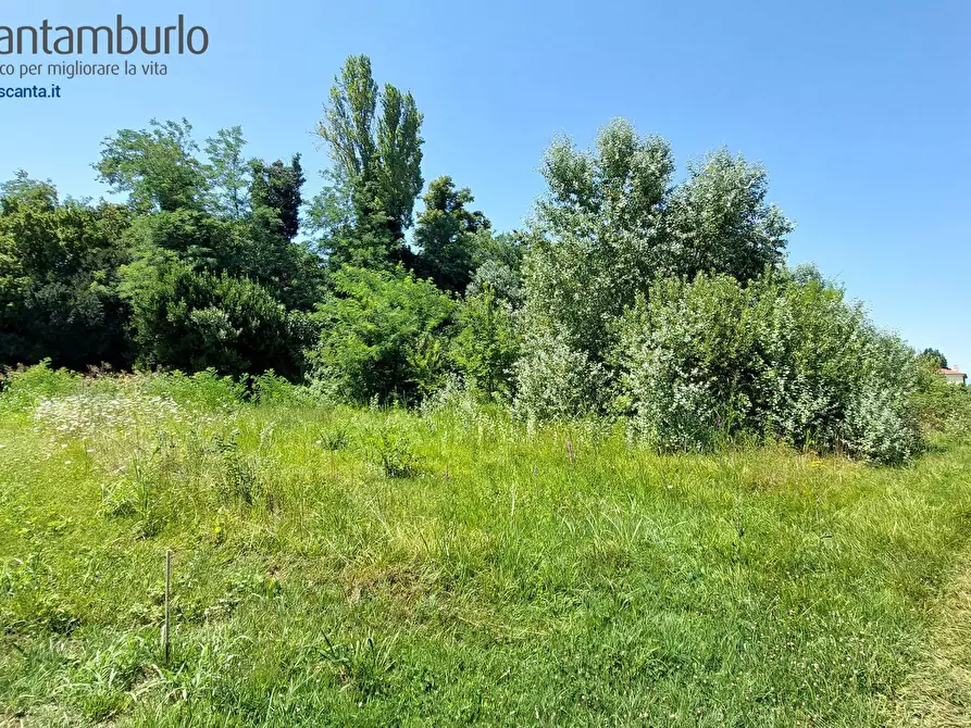 Immagine 4 di Terreno residenziale in vendita  a Preganziol