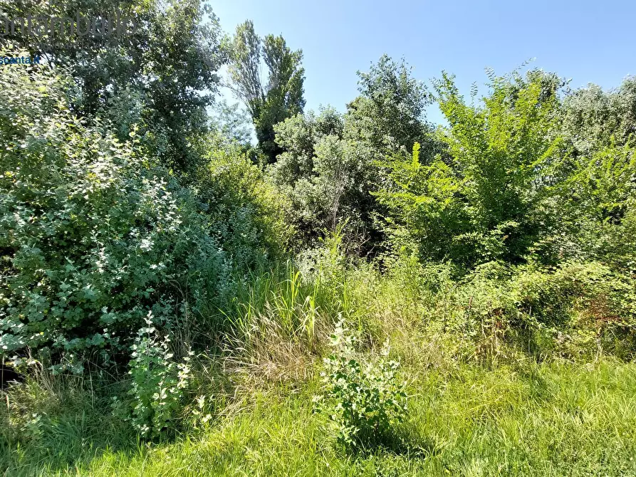 Immagine 5 di Terreno residenziale in vendita  a Preganziol