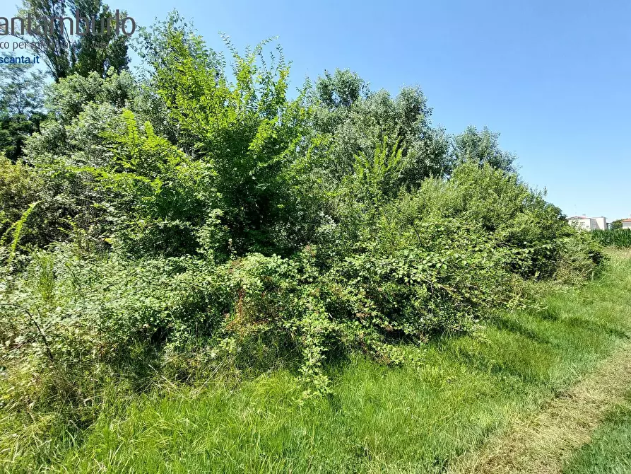 Immagine 6 di Terreno residenziale in vendita  a Preganziol