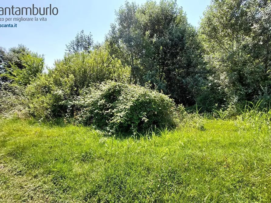 Immagine 7 di Terreno residenziale in vendita  a Preganziol