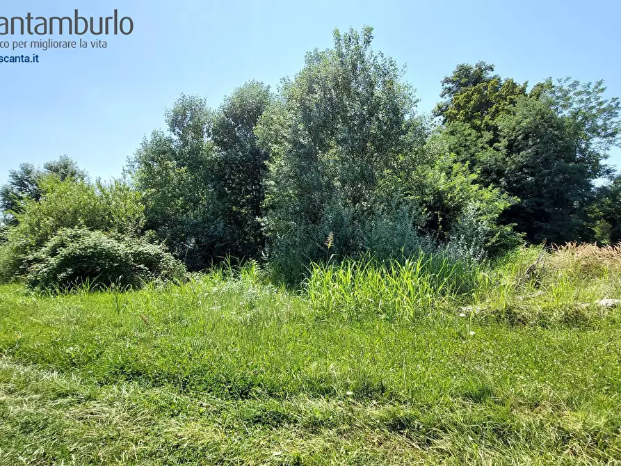 Immagine 8 di Terreno residenziale in vendita  a Preganziol