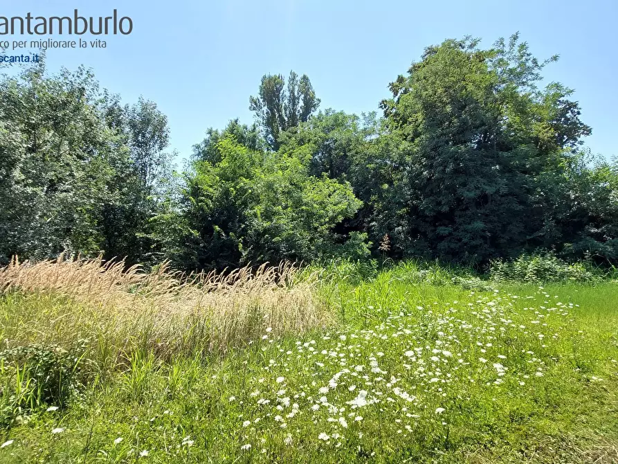 Immagine 9 di Terreno residenziale in vendita  a Preganziol