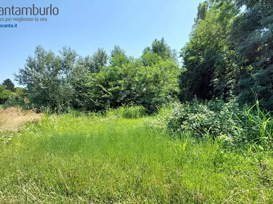 Immagine 10 di Terreno residenziale in vendita  a Preganziol
