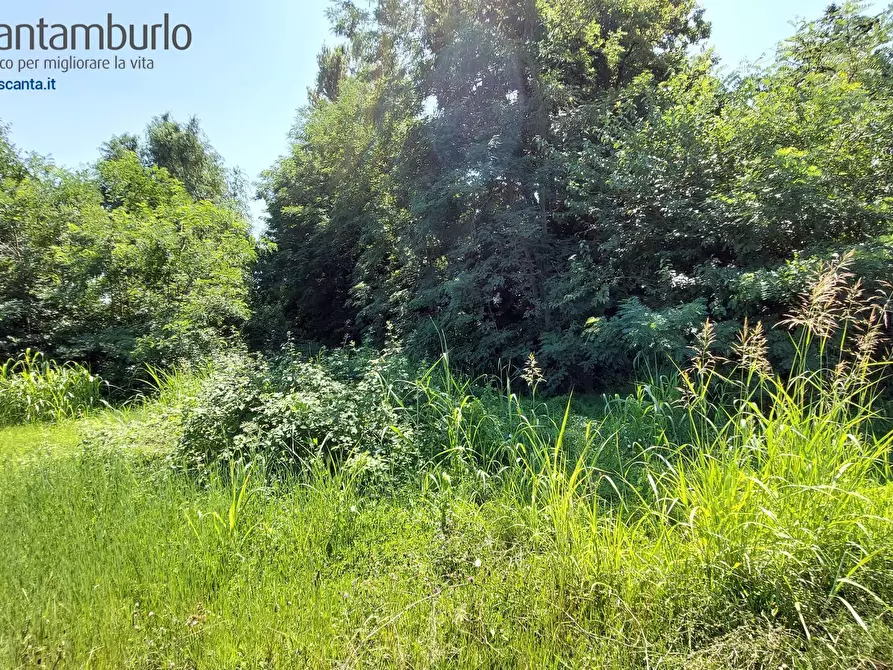 Immagine 11 di Terreno residenziale in vendita  a Preganziol