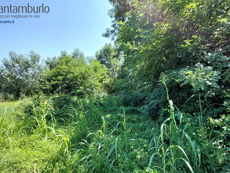 Immagine 12 di Terreno residenziale in vendita  a Preganziol