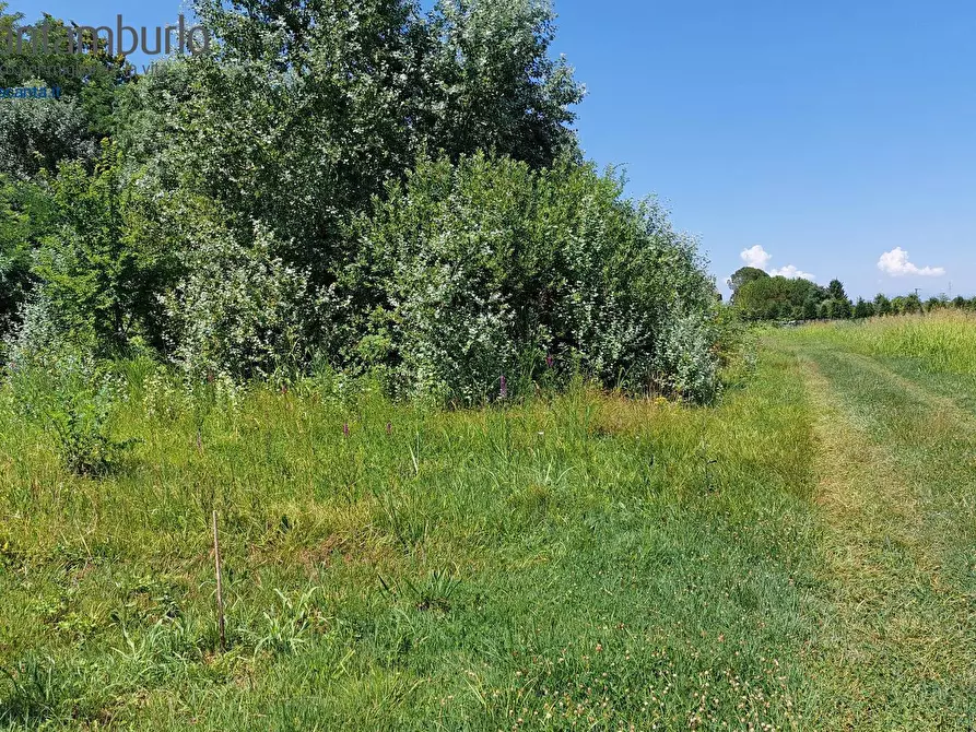 Immagine 13 di Terreno residenziale in vendita  a Preganziol