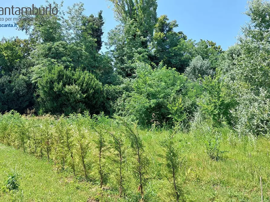 Immagine 14 di Terreno residenziale in vendita  a Preganziol