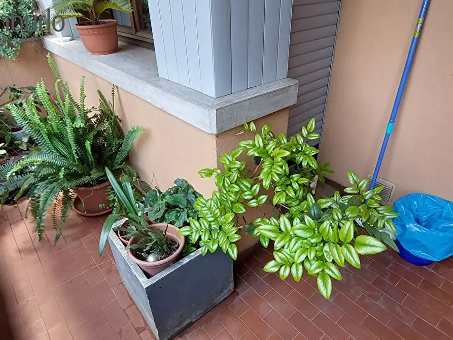 Immagine 4 di Appartamento in vendita  a Treviso