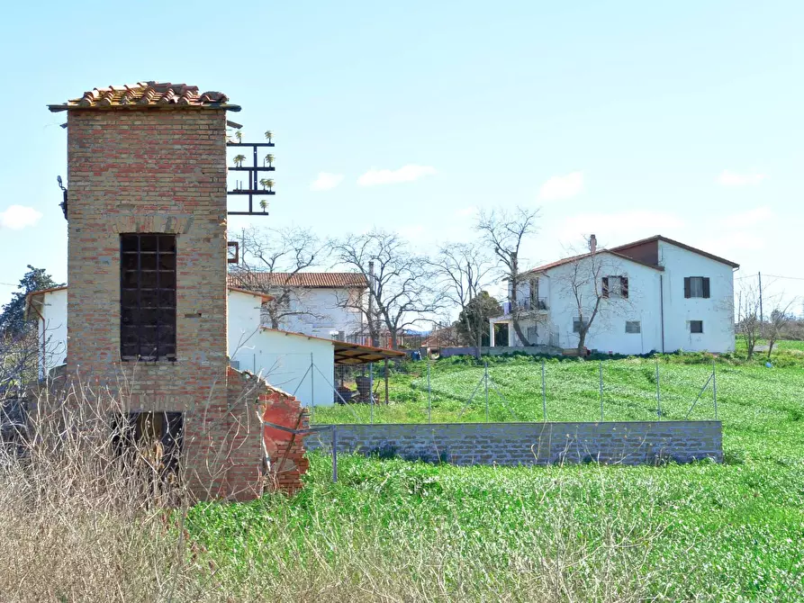 Immagine 3 di Rustico / casale in vendita  in Loc. Pantano di Sotto snc a Tarquinia