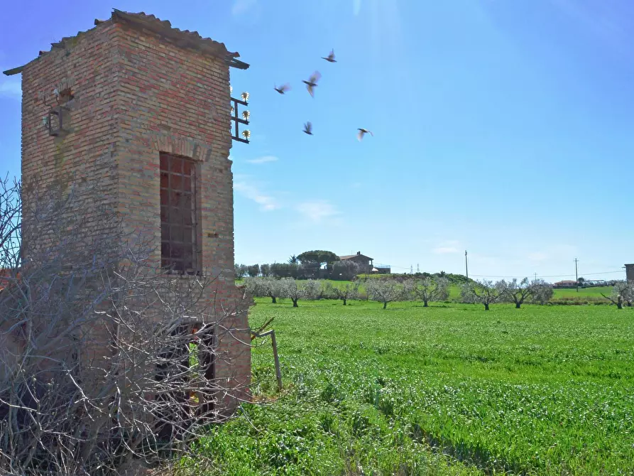 Immagine 4 di Rustico / casale in vendita  in Loc. Pantano di Sotto snc a Tarquinia