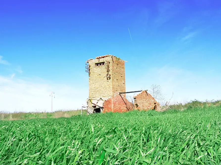 Immagine 5 di Rustico / casale in vendita  in Loc. Pantano di Sotto snc a Tarquinia