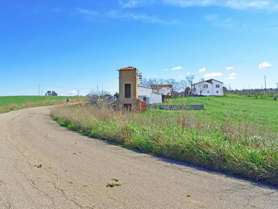 Immagine 6 di Rustico / casale in vendita  in Loc. Pantano di Sotto snc a Tarquinia
