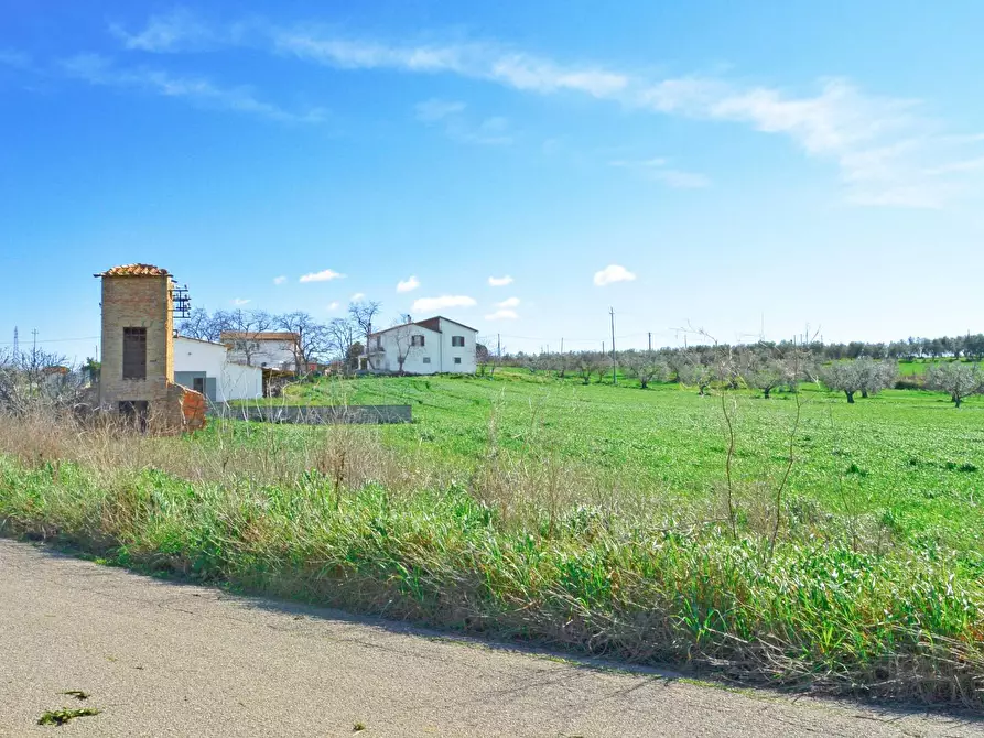 Immagine 7 di Rustico / casale in vendita  in Loc. Pantano di Sotto snc a Tarquinia