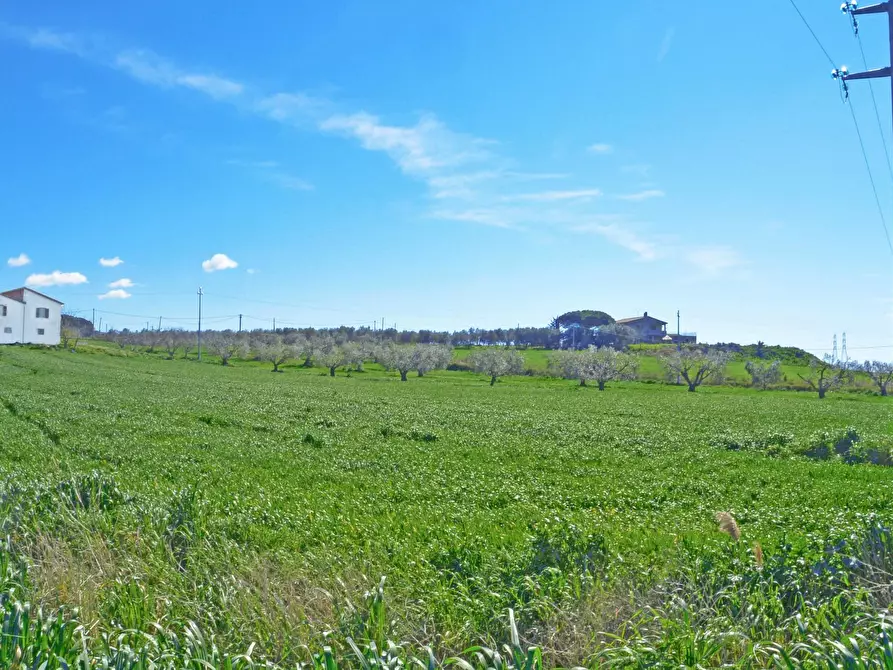 Immagine 8 di Rustico / casale in vendita  in Loc. Pantano di Sotto snc a Tarquinia