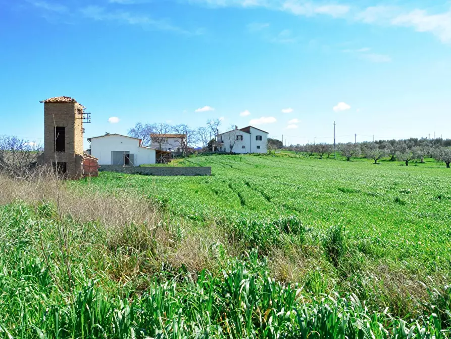 Immagine 2 di Rustico / casale in vendita  in Loc. Pantano di Sotto snc a Tarquinia