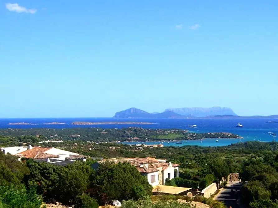 Immagine 9 di Villa in affitto  in Cala di Volpe - Porto Cervo - Costa Smeralda a Aggius