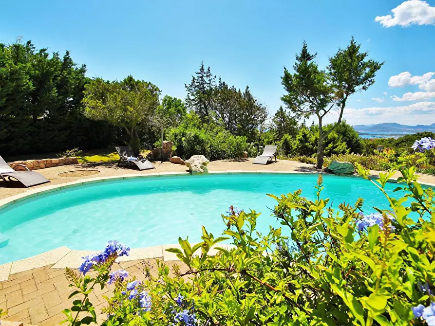 Immagine 3 di Villa in affitto  in Cala di Volpe - Porto Cervo - Costa Smeralda a Aggius