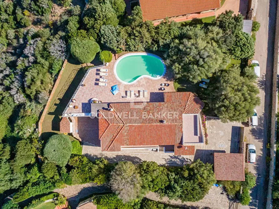 Immagine 26 di Villa in vendita  in San Pantaleo - Portisco - Costa Smeralda 11 a Olbia