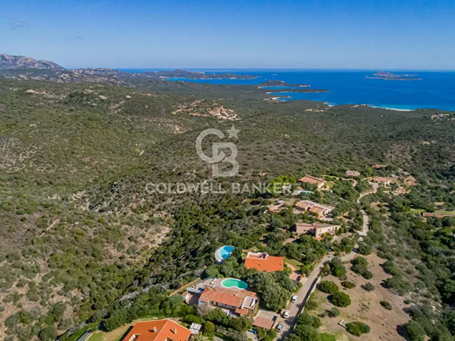 Immagine 31 di Villa in vendita  in San Pantaleo - Portisco - Costa Smeralda 11 a Olbia