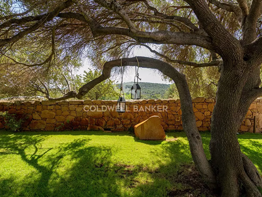 Immagine 36 di Villa in vendita  in San Pantaleo - Portisco - Costa Smeralda 11 a Olbia