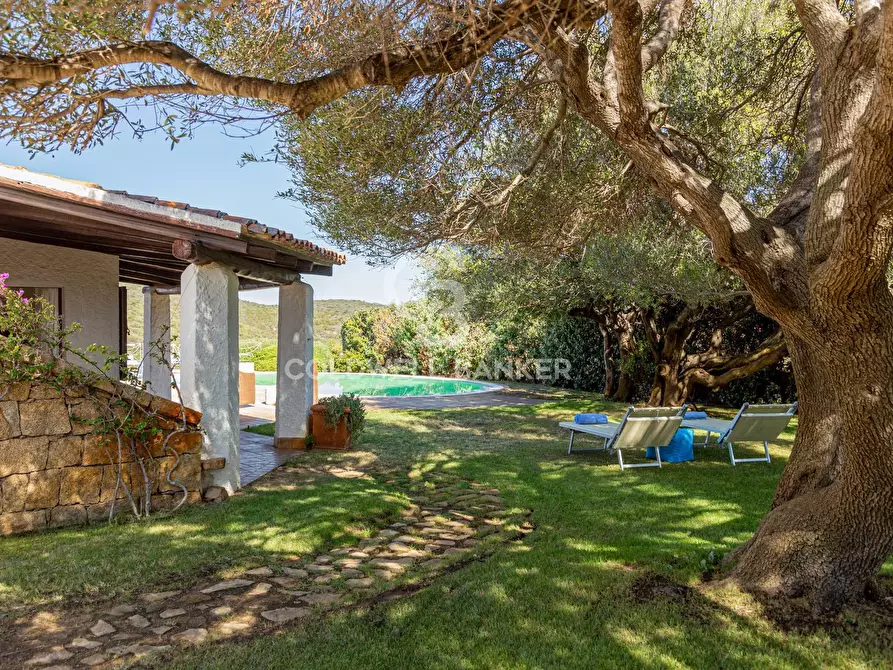 Immagine 38 di Villa in vendita  in San Pantaleo - Portisco - Costa Smeralda 11 a Olbia