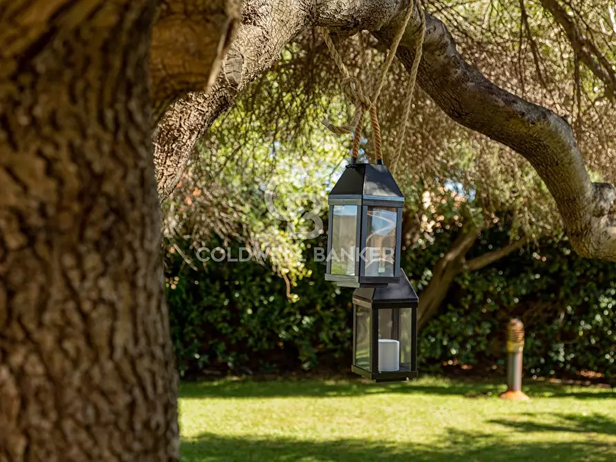 Immagine 39 di Villa in vendita  in San Pantaleo - Portisco - Costa Smeralda 11 a Olbia