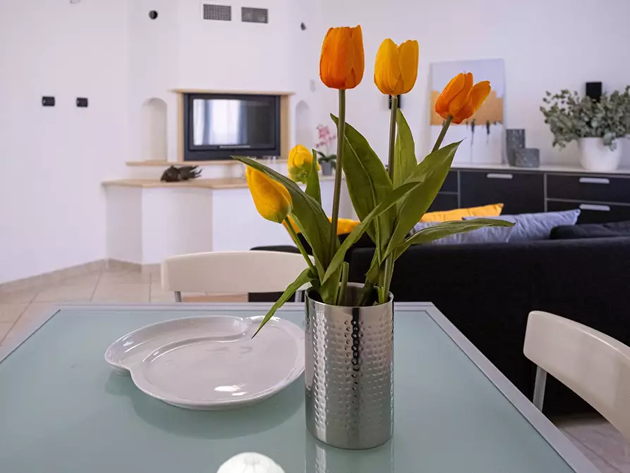 Immagine 35 di Villa in vendita  in Via Decandia s.n.c. a Aggius