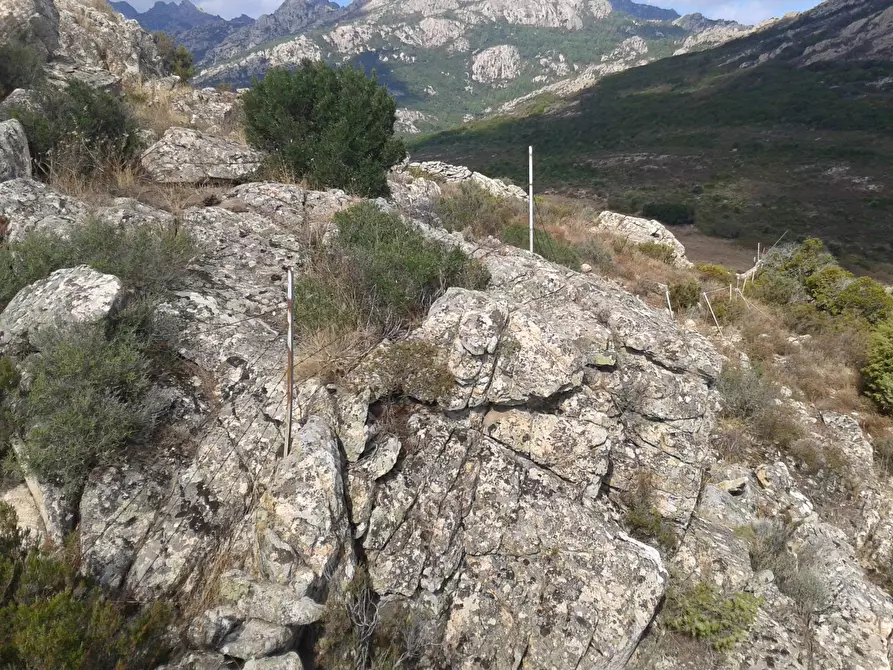 Immagine 9 di Terreno agricolo in vendita  in Loc. Sualza a Tempio Pausania