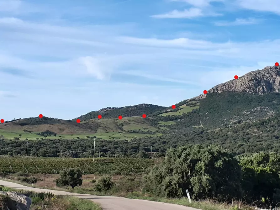 Immagine 10 di Terreno agricolo in vendita  in Loc. Sualza a Tempio Pausania