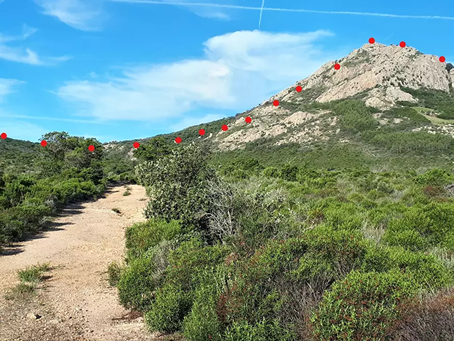 Immagine 11 di Terreno agricolo in vendita  in Loc. Sualza a Tempio Pausania