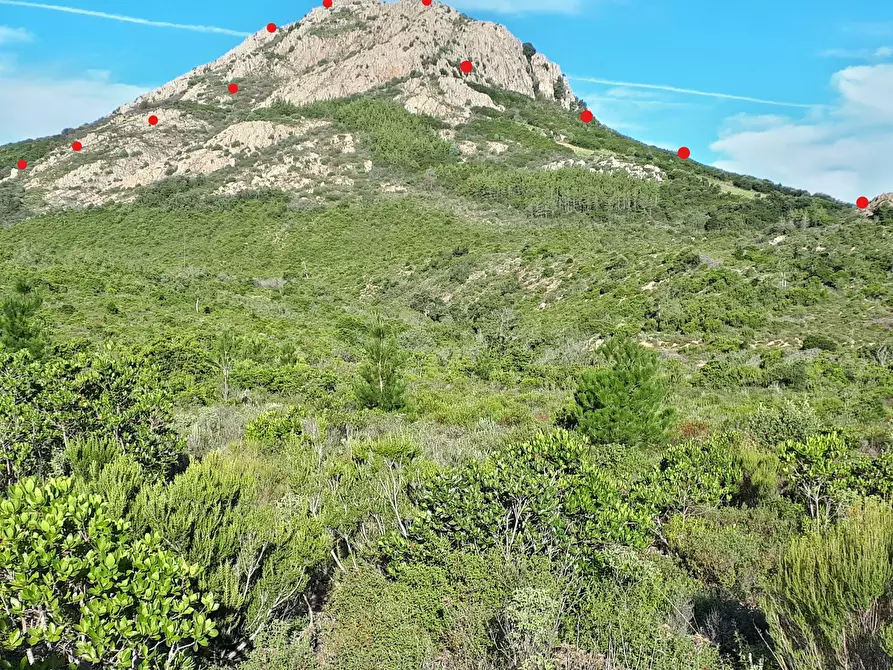 Immagine 12 di Terreno agricolo in vendita  in Loc. Sualza a Tempio Pausania