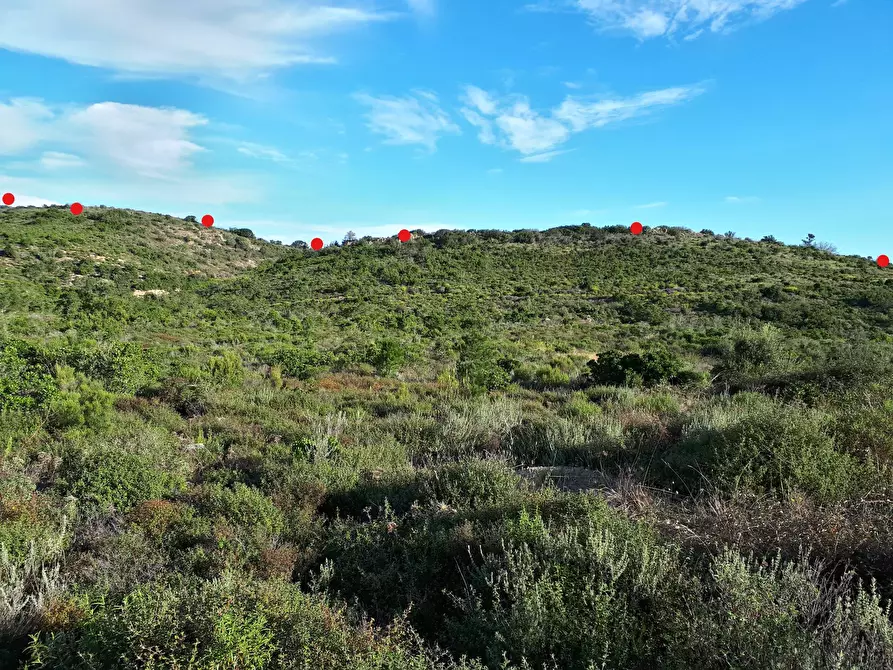 Immagine 13 di Terreno agricolo in vendita  in Loc. Sualza a Tempio Pausania