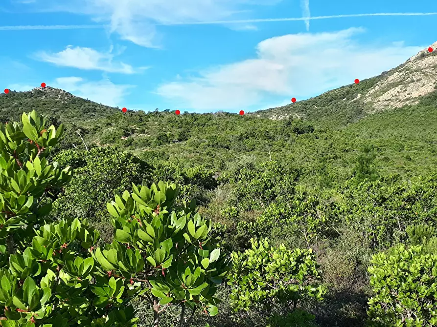 Immagine 14 di Terreno agricolo in vendita  in Loc. Sualza a Tempio Pausania