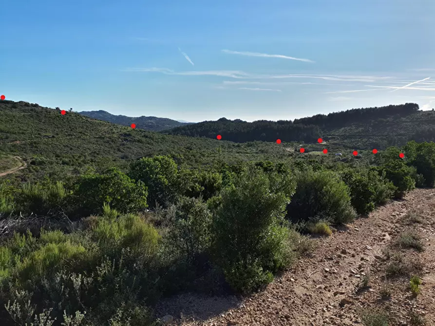 Immagine 17 di Terreno agricolo in vendita  in Loc. Sualza a Tempio Pausania